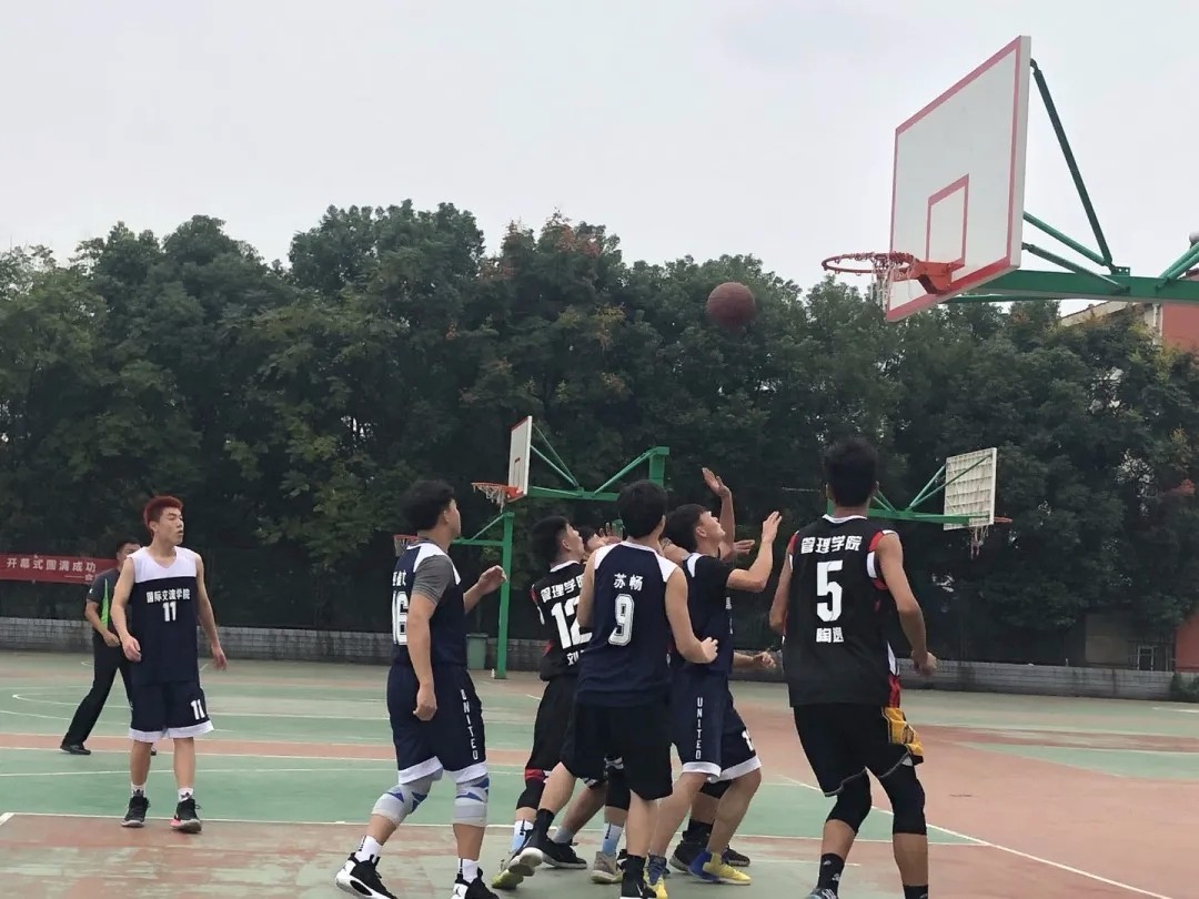 1608353600190372.jpg